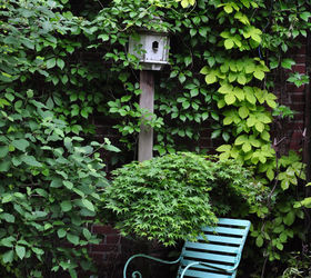 3 beautiful birdbath planters, This has nothing to do with a birdbath planter but I can t resist showing it because it is a pretty area of the garden in Toronto that has the birdbath planter