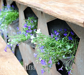 spring flower inspiration, flowers, gardening, repurposing upcycling, Chicken Nesting Box