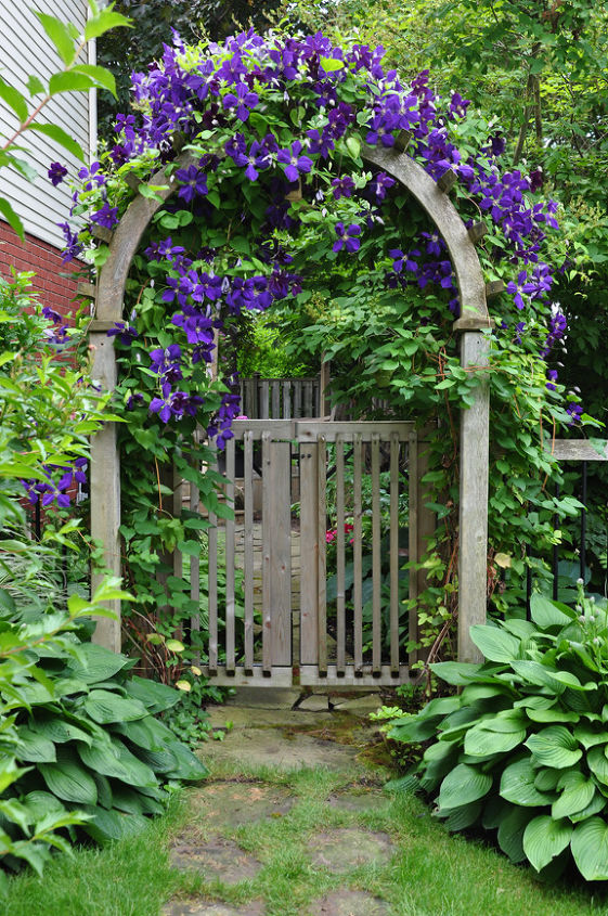 ideas for that narrow space in between suburban homes, flowers, gardening, hydrangea, landscape