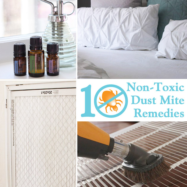 10 non toxic dust mite remedies for the home, cleaning tips, home maintenance repairs, how to