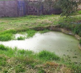 does this pond need cleaned before the ducks arrive