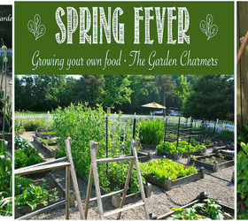 planning ideas for your vegetable garden, gardening