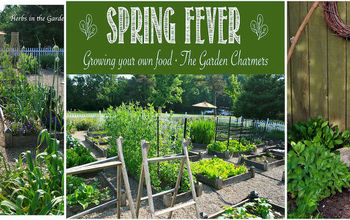 Planning Ideas for Your Vegetable Garden