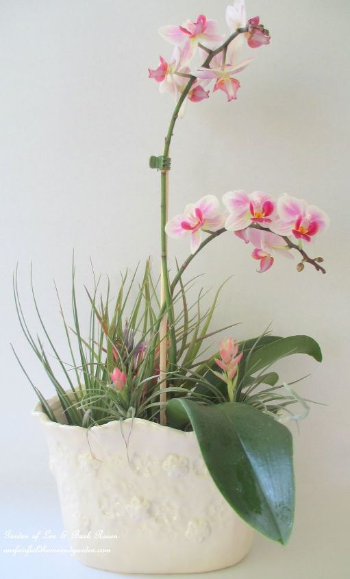 get creative with air plants, gardening, Orchids Air Plants centerpiece