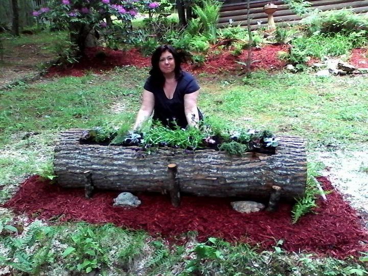 dead tree gets new life, gardening