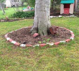 Flowers grow around trees Hometalk