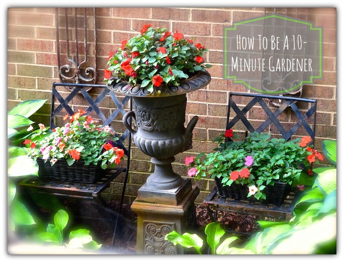 utiliza impatiens y cestas para conseguir un precioso y rapido aspecto de jardin