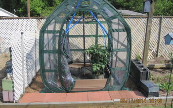 My Recycled Garden Bed & Greenhouse