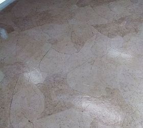 Dog Salon Paper Floor Hometalk