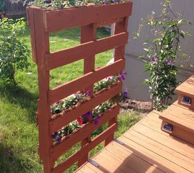 pallet privacy living wall