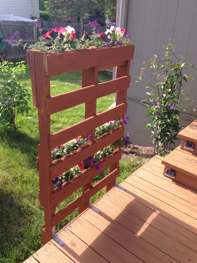 pallet privacy living wall