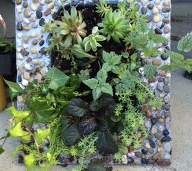 a picture perfect planter, gardening, repurposing upcycling