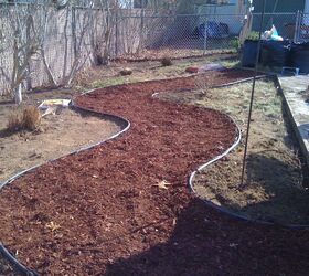 before and after, gardening, landscape, Red Mulch Path set easy inexpensive will contrast great with the black mulch beds