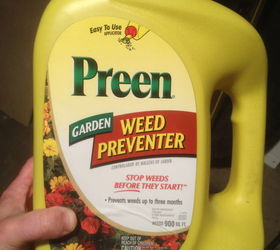 to preen or not to preen is there a question, container gardening, gardening, Preen