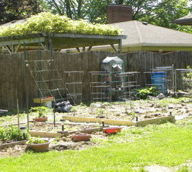 veggie garden on may 18th, gardening, Part of my veggie garden