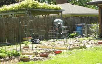 Veggie garden on May 18th.