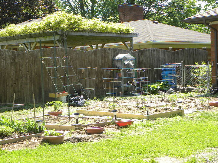 veggie garden on may 18th, gardening, Part of my veggie garden