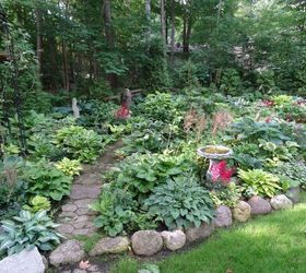 an early july backyard shade garden walk in green bay wi, gardening, landscape, outdoor living