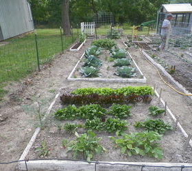 our garden 2012, gardening