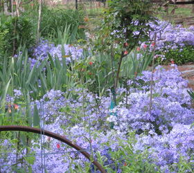garden backyard flowers georgia, flowers, gardening, landscape, Wild Blue Phlox