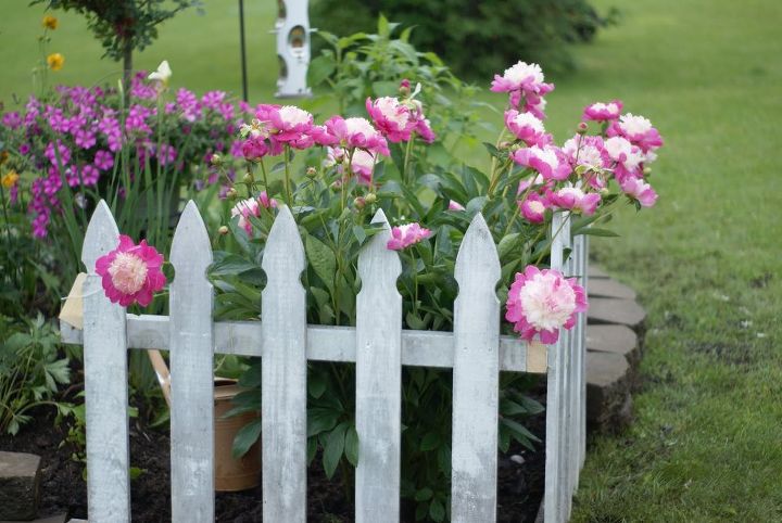 perennial garden, flowers, gardening, outdoor living, perennial, Add a vintage fence section