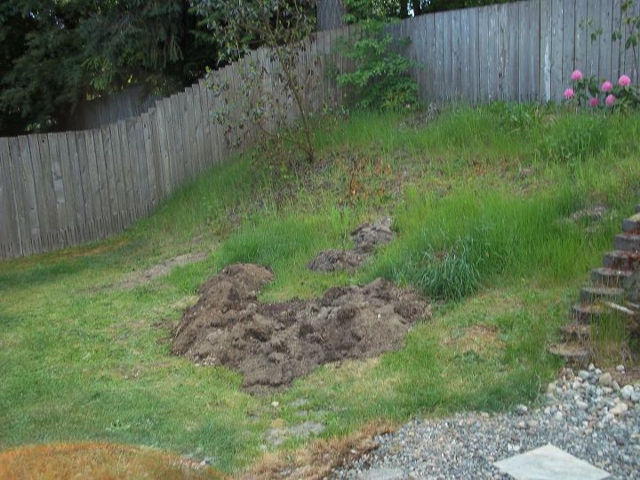 any labor saving ideas on how to get the dirt from the bottom of the hill to the top, excavated weedy mulch dirt from the from yard