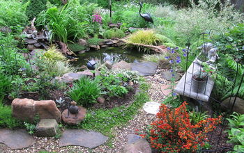 My pond in May