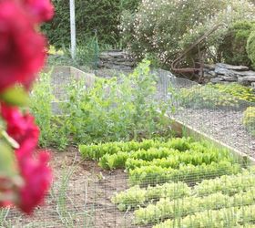 q hoe does your vegetable garden grow, gardening, outdoor living