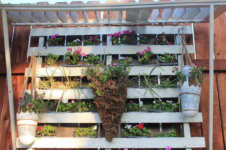 vinca pallet starter garden, diy, flowers, gardening, pallet, repurposing upcycling, woodworking projects