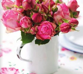 q coffee on roses, flowers, gardening