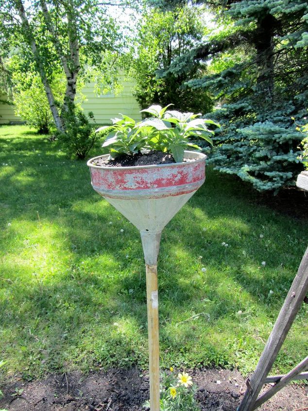 add vertical interest to a flower border with a funnel and a shovel or broom handle, flowers, gardening, repurposing upcycling, Funnel Planter with red Lantana