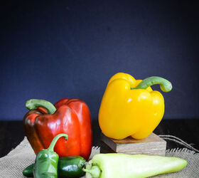 10 tips for growing peppers, gardening