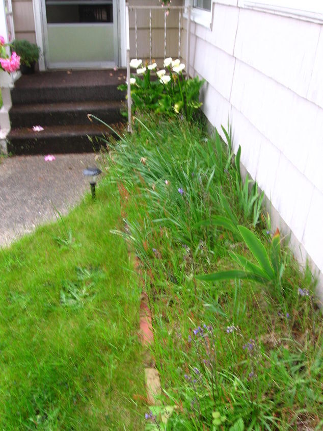 before and semi after, flowers, landscape, outdoor living, All the flower beds looked like this