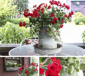Old Chicken Feeder Becomes A New Planter Hometalk