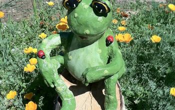 Our Garden Frog out of gourds