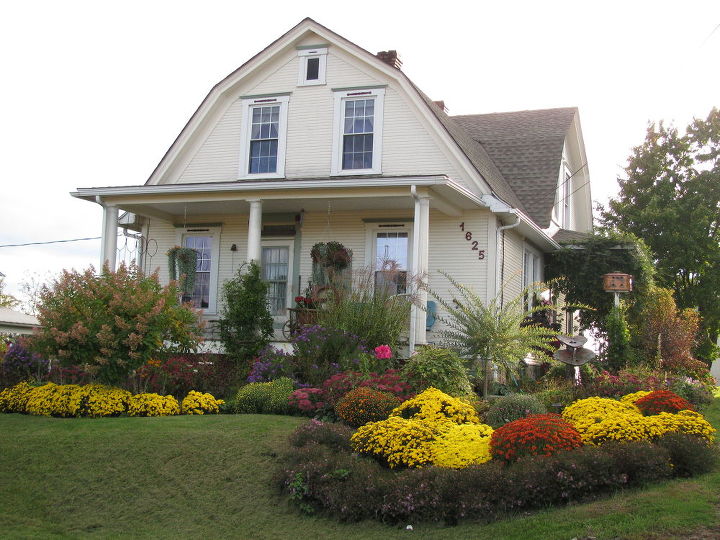 fall mums, gardening, This is just a photo of what my front garden looked like in the fall of 2011 Hope you enjoy
