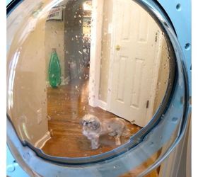 how to clean washing machine sanitizing, appliances, cleaning tips
