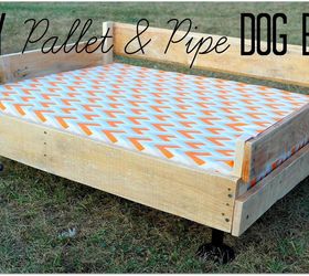 plataforma de cama de cachorro de palete e tubo