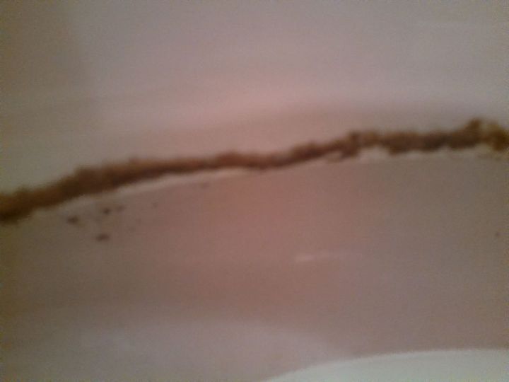 q ugly toilet ring, bathroom ideas, cleaning tips