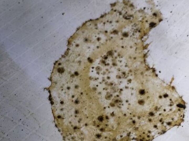 mold in crawlspace, cleaning tips, home maintenance repairs