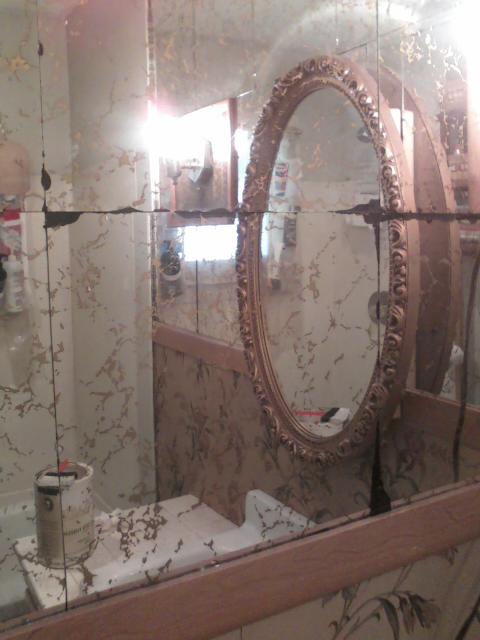 eu adoraria cobrir os azulejos espelhados que esto no meu banheiro muito pequeno