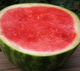 how are seedless watermelons grown, flowers, gardening