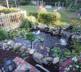 my pond and my deck, decks, outdoor living, ponds water features, my husband just built me this really nice deck overlooking my pond this is where i spend most of my time relaxing after a very stressful day my own little paradise