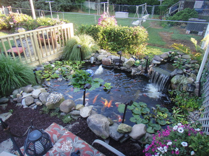 mi estanque y mi terraza, mi marido acaba de construirme esta bonita terraza con vistas a mi estanque aqu es donde paso la mayor parte del tiempo relaj ndome despu s de un d a muy estresante mi peque o para so