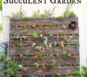 pallet vertical succulent garden, flowers, gardening, pallet, repurposing upcycling, succulents