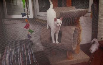 ¡Construir un Catio ~ una casa de pantalla pequeña para los gatos Kitty!