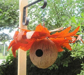 Make a coconut bird feeder