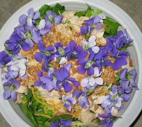 gardening and eating, flowers, gardening, Sweet violets for dinner