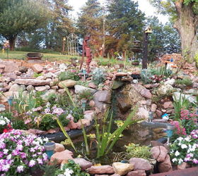 my rock gardens, flowers, landscape, outdoor living, ponds water features, Pond area with waterfall
