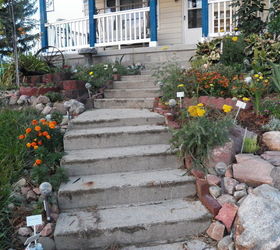 my rock gardens, flowers, landscape, outdoor living, ponds water features, Steps going up to the front of our farm home